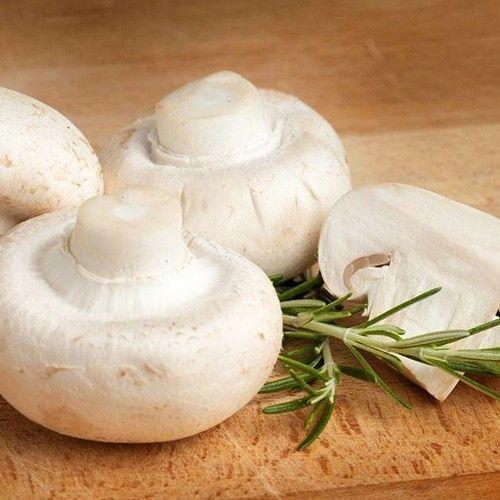 菌菇组合销售的破局之道 以香菇与杏鲍菇为核心的多品种策略
