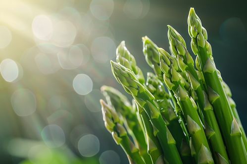 清新自然的芦笋成熟蔬菜广告图素材解析