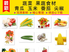 精品果蔬食材大全 青瓜、玉米、番茄与尖椒的图库选择与设计用途